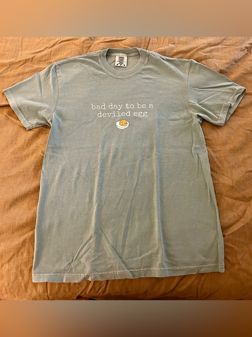 NWOT Comfort Colors Light Sage Green Graphic Tee - "Bad Day to Be a Deviled Egg"